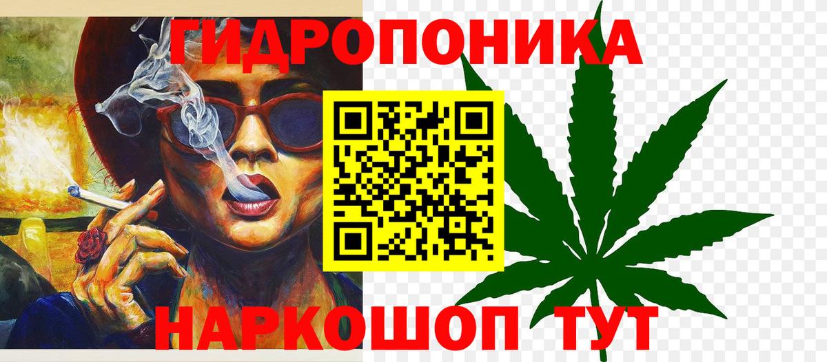 Канабис Bruce Banner Сургут